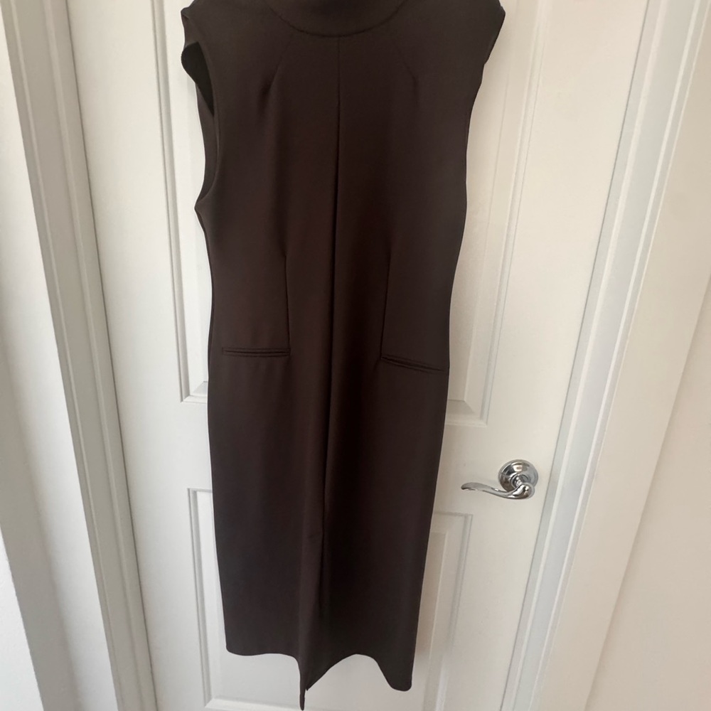 Zara Chic Chocolate Midi Dress